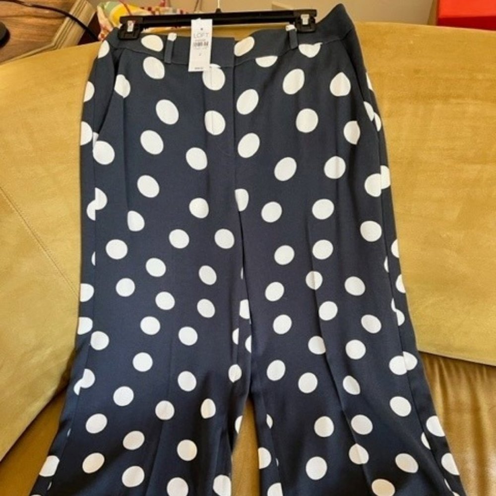 Ann Taylor Loft - navy & white polka dot pants NWT, Size 2